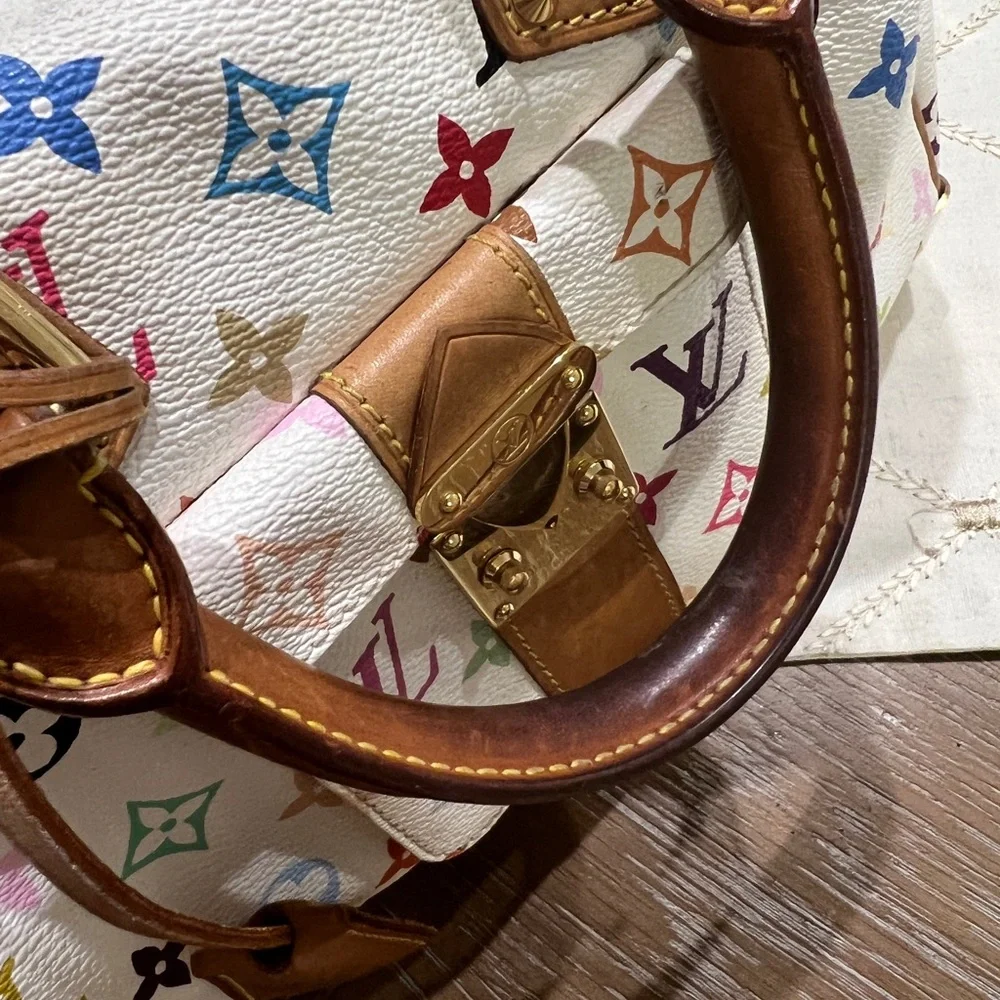 Louis Vuitton Multicolor Speedy Takashi Murakami - Picture 10 of 13
